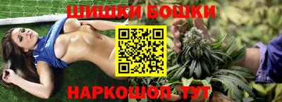 мдпв Гай