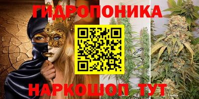 твердый Гатчина