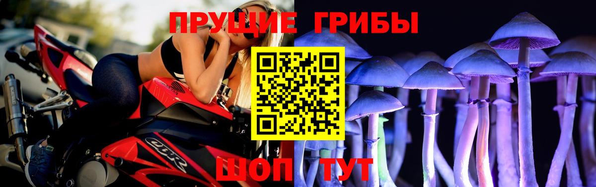 Димитровград  даркнет сайт  Вход с VPN  Псилоцибиновые грибы Psilocybine cubensis 